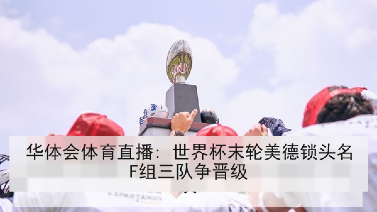 华体会体育直播: 世界杯末轮美德锁头名F组三队争晋级