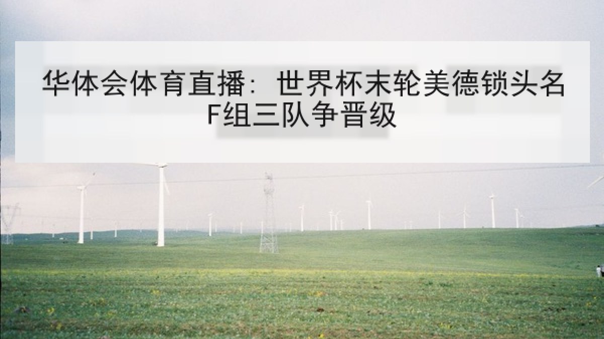 华体会体育直播: 世界杯末轮美德锁头名F组三队争晋级
